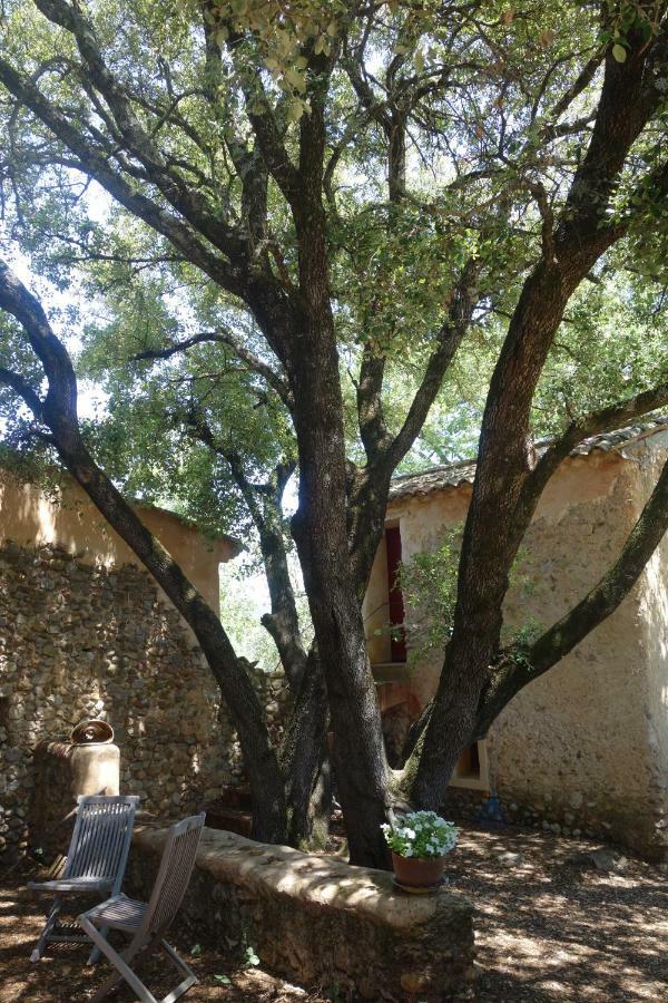 Le Clos Des Collines Saint-Martin-de-Brômes Εξωτερικό φωτογραφία